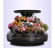 Tủ bảo quản và trưng bày Hoa tươi OKASU OKS-SG18YA