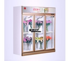 Tủ trưng bày và bảo quản hoa tuwoi OKASU-SG18ZA-3