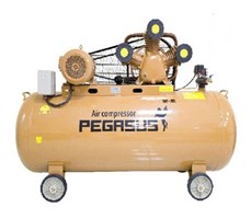 Máy nén khí PEGASUS TM-W-0.9/8-500L