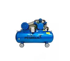 Máy nén khí PEGASUS TM-V-1.05/12.5-500L