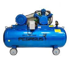 Máy nén khí PEGASUS TM-W-1.0/8-500L