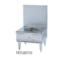 Bếp điện FUJIMARK FETL45452