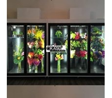 Tủ bảo quản hoa tươi mini