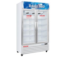 Tủ mát 2 cánh kính Darling DL-9000A