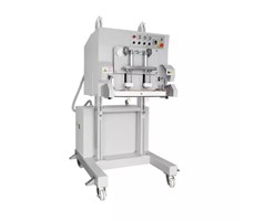 Máy đóng gói hút chân không và thổi khí dạng đứng DZQ-600LD