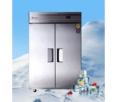 Tủ đông mát 2 cánh Everest B126-2RF0S-E 