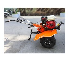 Máy xới đất mini Honda GX200 (6,5HP)