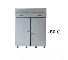 Tủ đông nhanh 30 khay thẳng đứng -80℃ Prosky SAGA 1250L