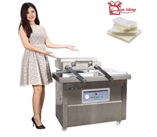 Máy hút chân không công nghiệp GoodFor DZQ500X2