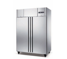 Tủ đông 2 cánh đứng Coolmes AFX2