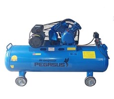 Máy nén khí công nghiệp piston Pegasus TM-V-0.25/12.5-120L
