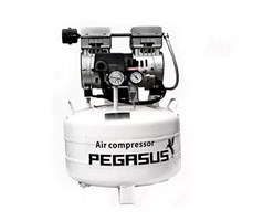 Máy nén khí mini không dầu Pegasus TM-OF550-40L