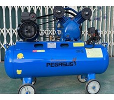 Máy nén khí công nghiệp piston Pegasus TM-V-0.17/8-70L