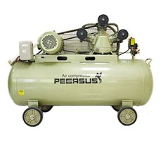 Máy nén khí công nghiệp Pegasus piston TM-V-0.36/8-230L
