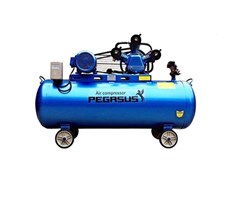 Máy nén khí công nghiệp dây đai Pegasus TM-W-0.36/8-230L