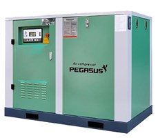 Máy nén khí trục vít Pegasus TMPM250A