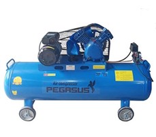 Máy nén khí Pegasus TM-V-0.25/12.5-180L