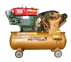 Máy nén khí chạy dầu Pegasus TM-W-1.6/12.5-500L