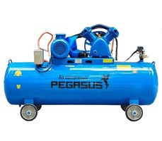 Máy nén khí Pegasus TM-V-0.6/8-330L