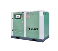 Máy nén khí trục vít Pegasus TMPM175A