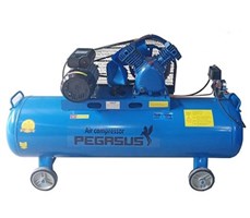Máy nén khí Pegasus TM-V-0.25/8-180L