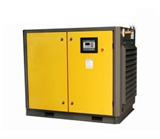 Máy nén khí trục vít Pegasus TMPM100A