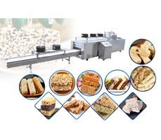 Dây chuyền sản xuất snack Loyal PBPL-2019