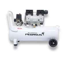 Máy nén khí không dầu Pegasus TM-OF600-25L