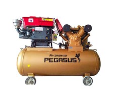 Máy nén khí đầu nổ Pegasus TM-W-2.0/12.5-330L