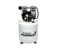 Máy nén khí không dầu Pegasus TM-OF750-50L
