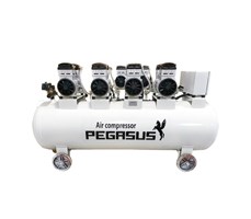 Máy nén khí không dầu Pegasus TM-OF1100x4-300L