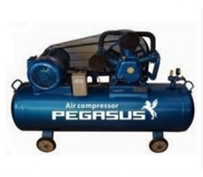 Máy nén khí dây đai PEGASUS TM-4HP-180L