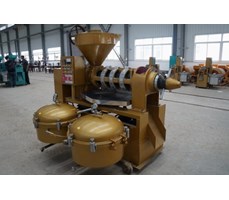 Máy ép dầu trục vít Guangxin SCM Yzlxq120