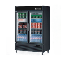 Tủ đông 2 cánh kính Renew RNGF-49