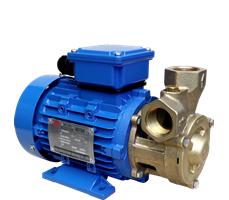 Bơm ma sát bằng đồng thau WULI WPB-20