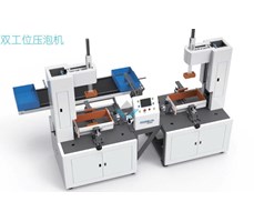 Máy ép bọt hộp cứng trạm đôi RSK-6415YP