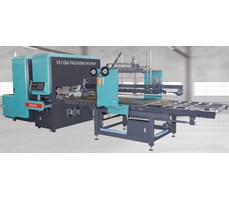 Máy cột dây thùng carton tự động (Dây Pe) CY-1400 