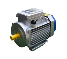 Động cơ motor điện 220V Toàn Phát 2.2Kw 1400v/phút 