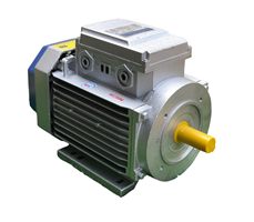 Động cơ motor điện 220V Toàn Phát 3Kw 1400v/phút 