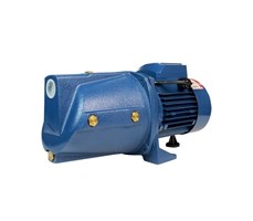 Máy Bơm Nước Chân Không Lead 1000W MJSW/3CL
