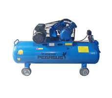 Máy Nén Khí Dây Đai Pegasus 2HP TM-V-0.17/8-180L