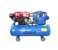 Máy Nén Khí Đầu Nổ Chạy Dầu Pegasus 10HP TM-W-1.0/8-330L