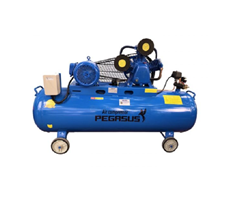 Máy Nén Khí Dây Đai Pegasus 4HP TM-W-0.36/12.5-230L 3 Pha