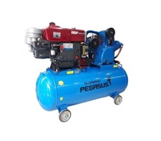 Máy Nén Khí Đầu Nổ Pegasus 7.5Hp 330L TM-W-0.67/12.5