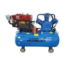 Máy Nén Khí Chạy Dầu Diesel 10Hp 330L Pegasus TM-W-1.0/8