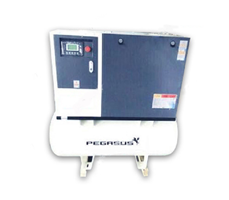Máy Nén Khí Trục Vít Pegasus TMP-20A