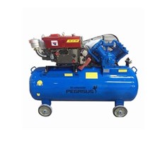 Máy Nén Khí Chạy Dầu Diesel 10Hp 500L Pegasus TM-W-1.0/8
