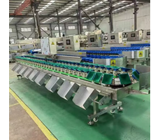 Máy phân loại trọng lượng thùng carton CQ-BD-10