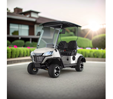 Xe điện chơi Golf LGS021  