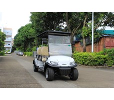 Xe điện chơi Golf LQS040A  